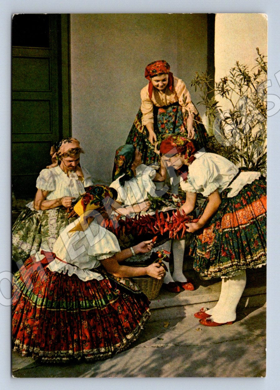 Postcard traditional costume Sárpilis ethnography (M3064)