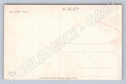 Postcard Joža Úprka Plečka ethnographic (M3067)