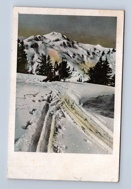 Pohlednice zimní krajina stromy sníh 1944 (M30681)