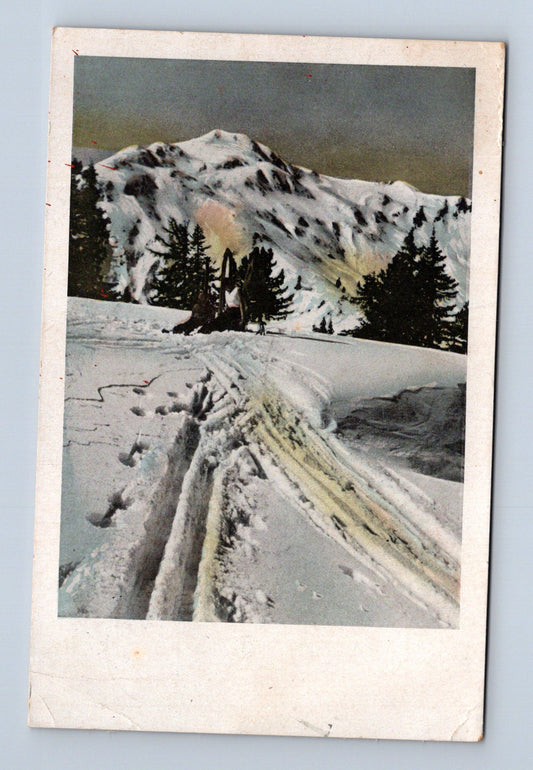 Pohlednice zimní krajina stromy sníh 1944 (M30681)