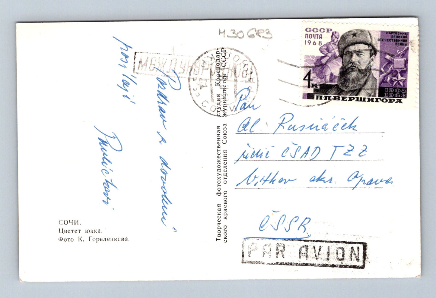 Pohlednice Rusko Soči květy juky a moře 1968 (M30683)