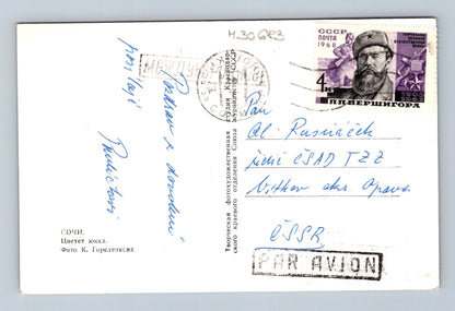 Pohlednice Rusko Soči květy juky a moře 1968 (M30683)