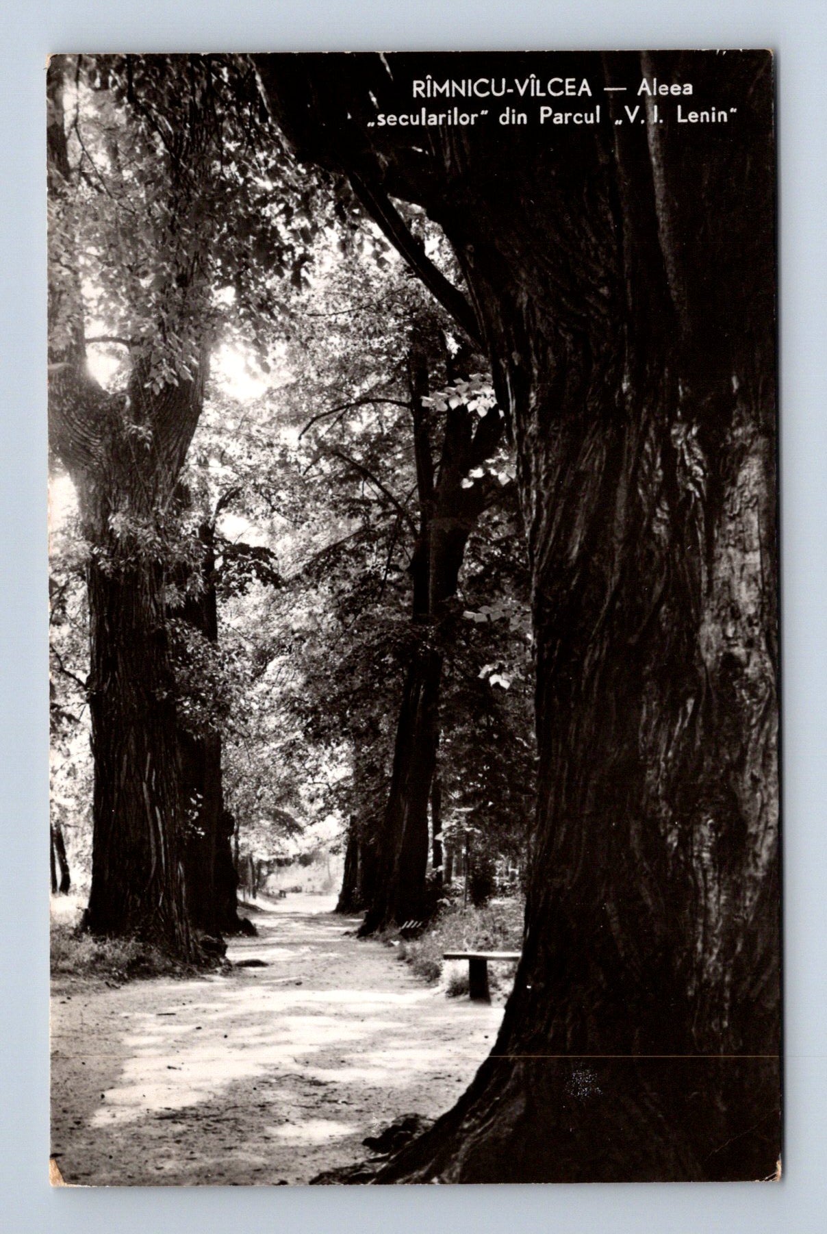 Pohlednice Rumunsko Râmnicu Vâlcea park V. I. Lenin 1950s (M30687)