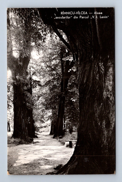 Pohlednice Rumunsko Râmnicu Vâlcea park V. I. Lenin 1950s (M30687)