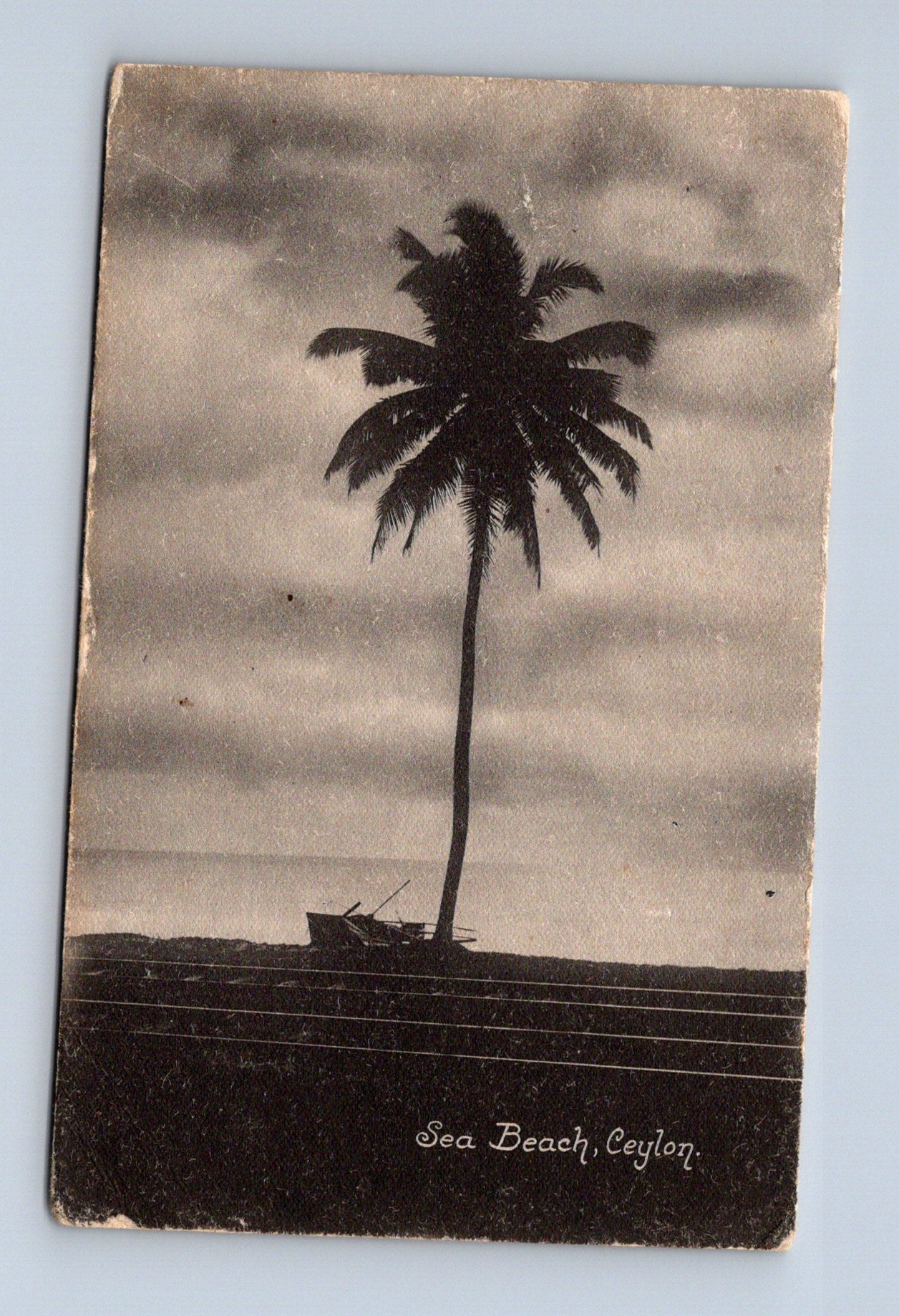 Pohlednice Ceylon Sea Beach palma (M30695)