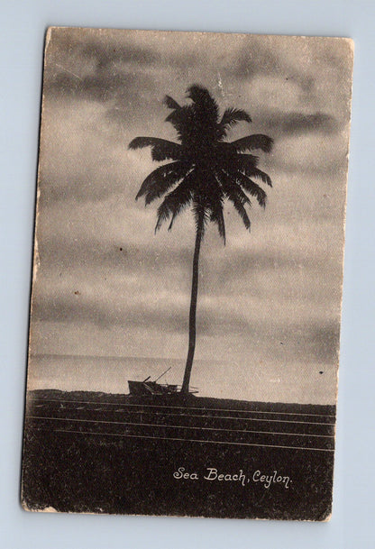 Pohlednice Ceylon Sea Beach palma (M30695)