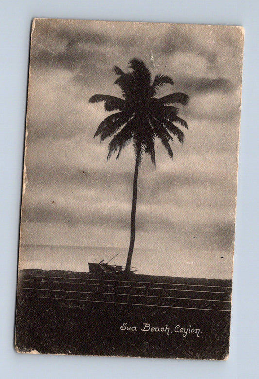 Pohlednice Ceylon Sea Beach palma (M30695)