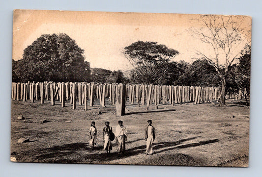 Pohlednice Srí Lanka Anuradhapura skupina lidí kůly (M30699)