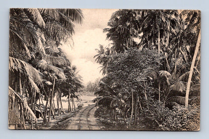 Pohlednice Srí Lanka Colombo pobřežní železnice (M30727)