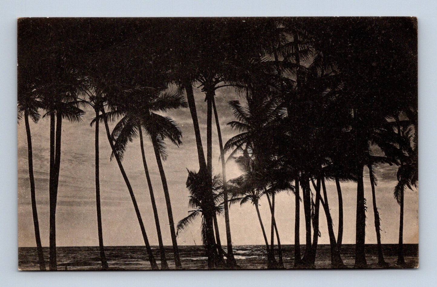 Pohlednice Sri Lanka Moonlight through the Palms (M30729)