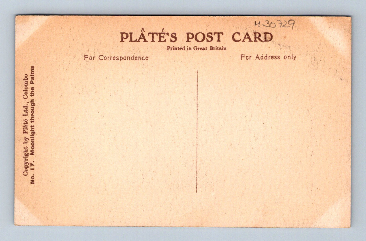 Pohlednice Sri Lanka Moonlight through the Palms (M30729)