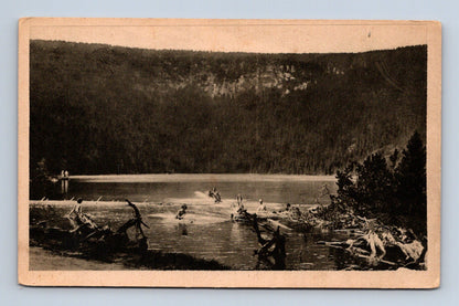 Pohlednice Černé jezero Šumava koupající se lidé (M30738)