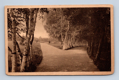 Pohlednice Františkovy Lázně park Stahlquelle 1923 (M30746)