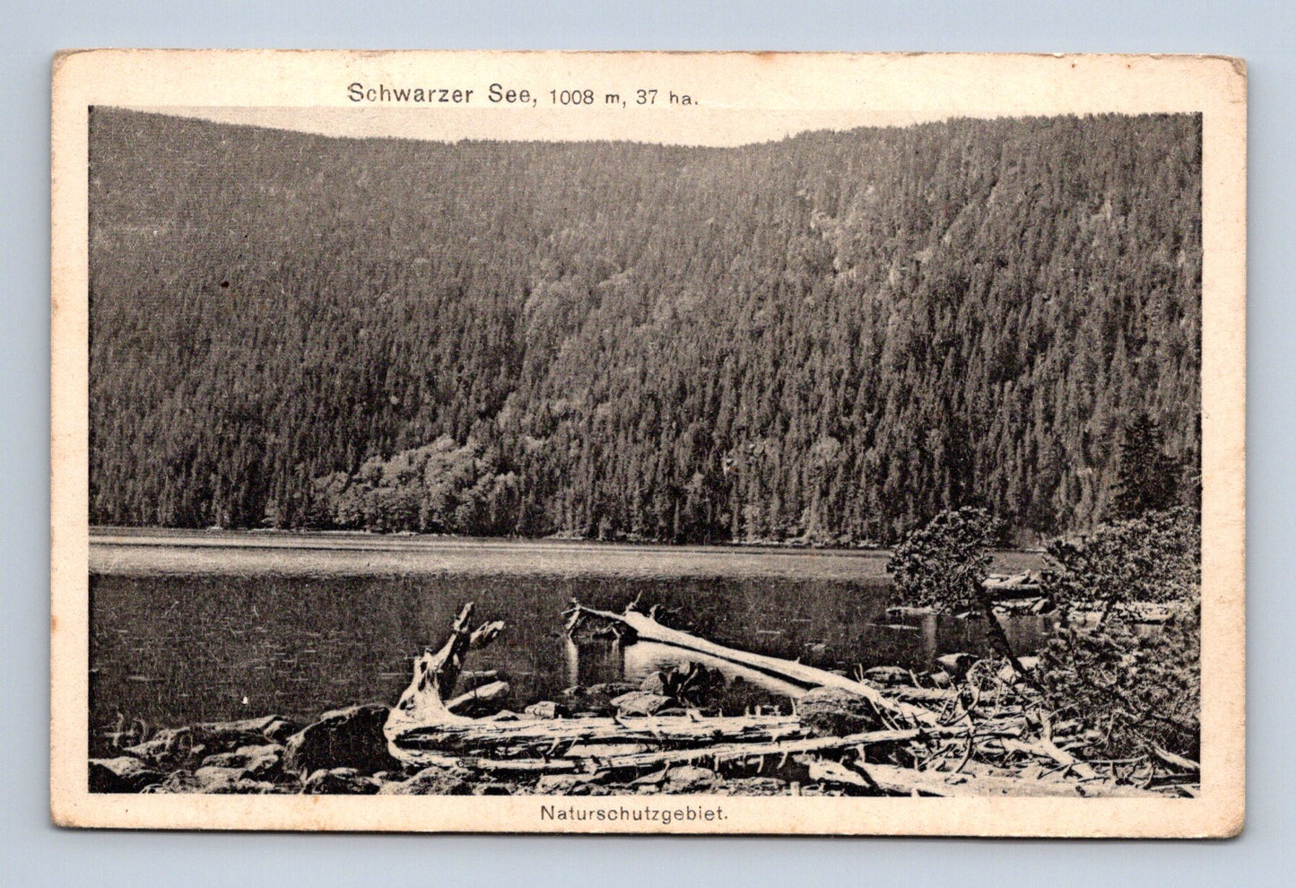 Pohlednice Černé jezero Šumava 1920 (M30758)