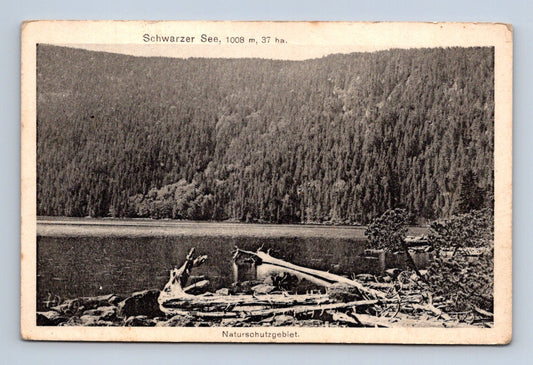 Pohlednice Černé jezero Šumava 1920 (M30758)