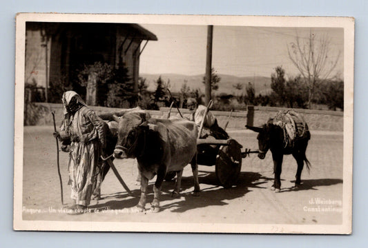 Pohlednice Turecko Ankara venkovská scéna zvířata 1929 (M30790)