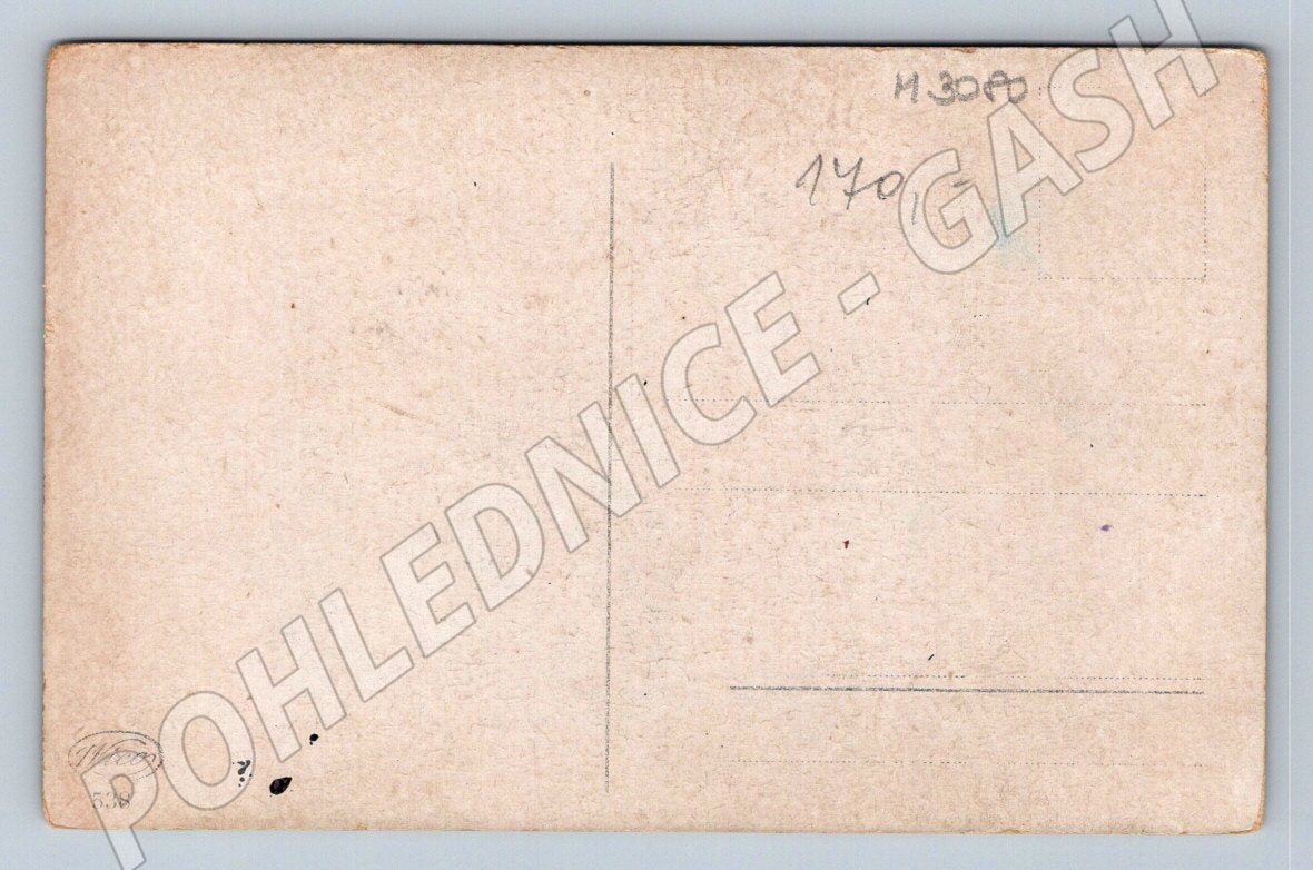 Postcard woman in costume and cat ethnography (M3080)