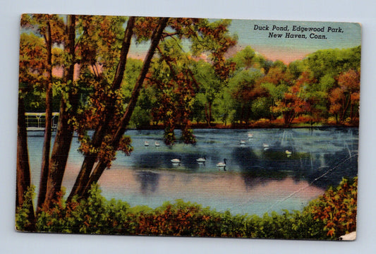 Pohlednice USA New Haven Edgewood Park kachní rybník 1947 (M30826)