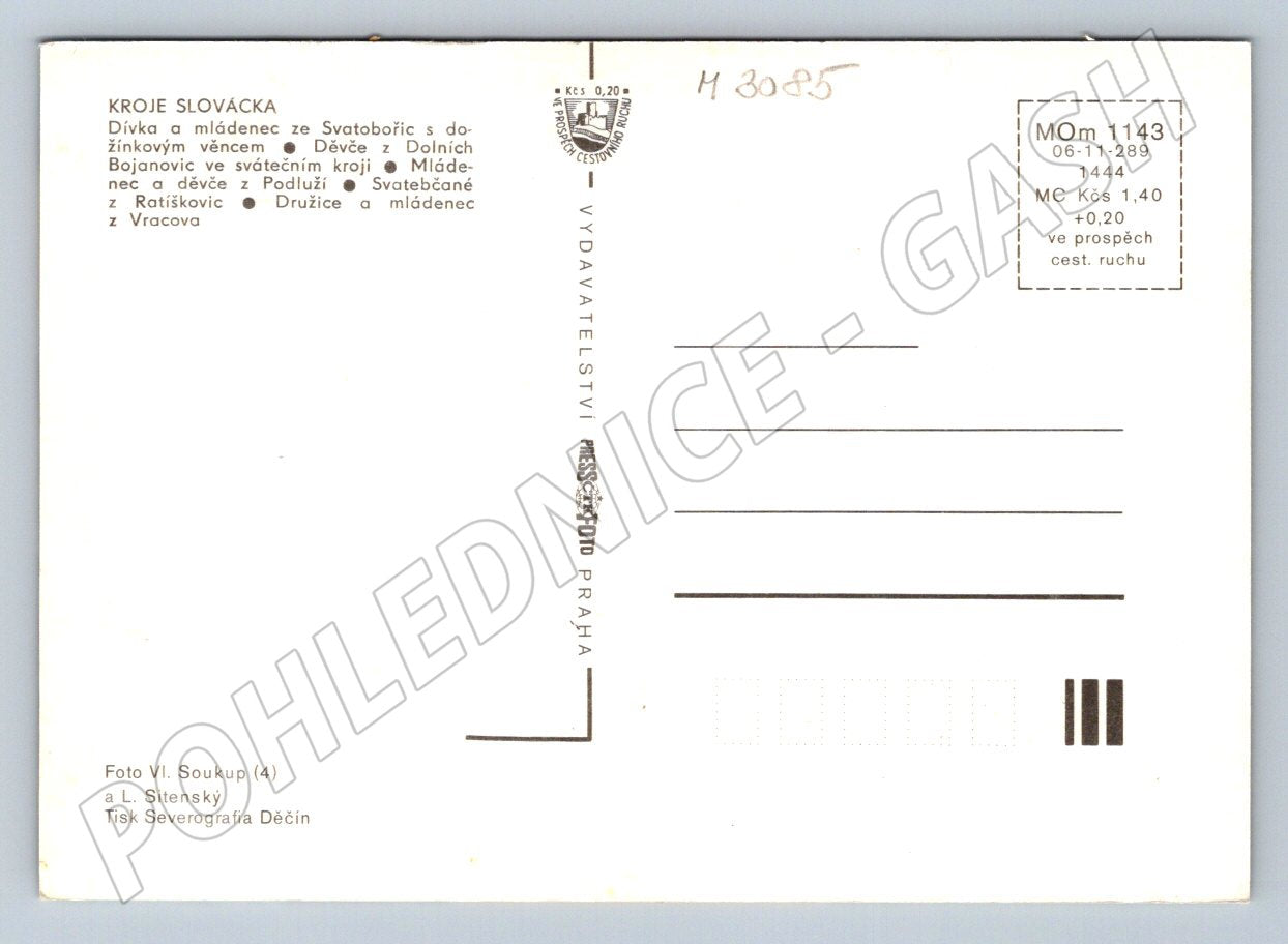 Postcard Slovak Folk Costumes Traditional Clothing (M3085)