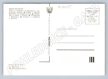 Postcard Slovak Folk Costumes Traditional Clothing (M3085)