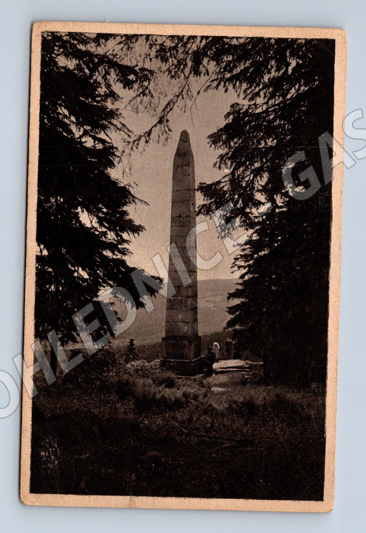 Pohlednice Německo Dreisessel Stifterdenkmal 1923 (M30879)