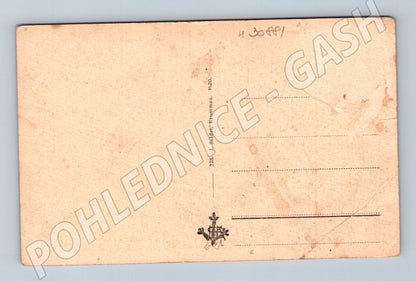 Pohlednice Blöckenstein-Seeplatte Stifter-Denkmal 1920 (M30881)