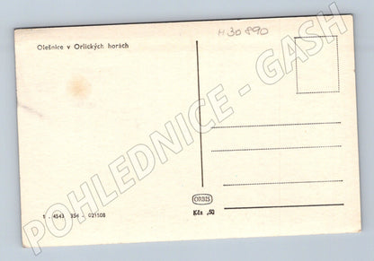 Pohlednice Olešnice v Orlických horách pohled na obec (M30890)