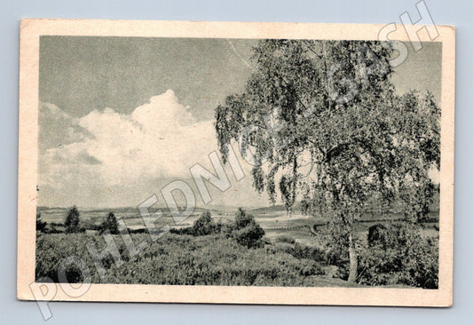 Pohlednice krajina se stromem (M30909)