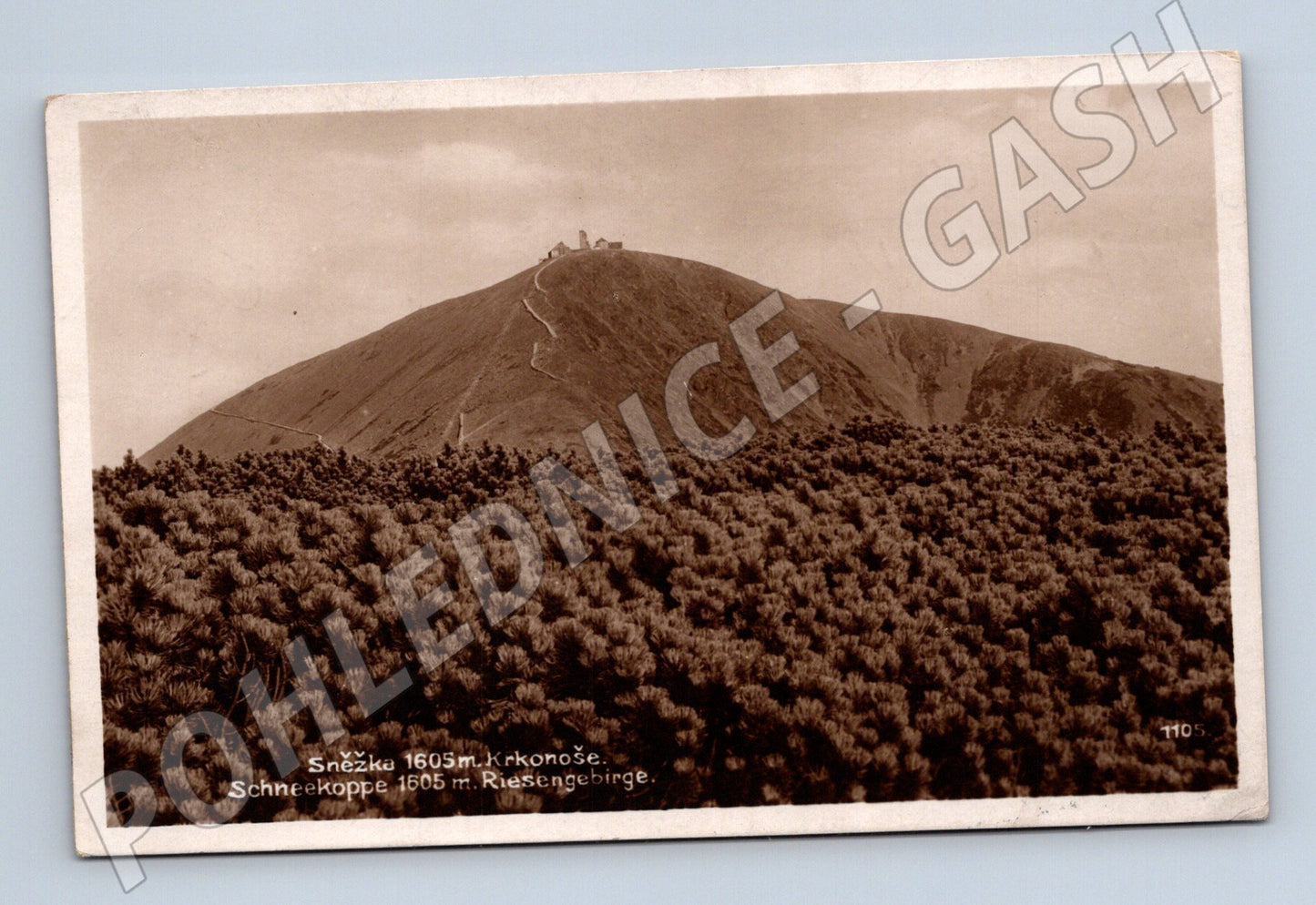 Pohlednice Sněžka Krkonoše 1930 (M30947)