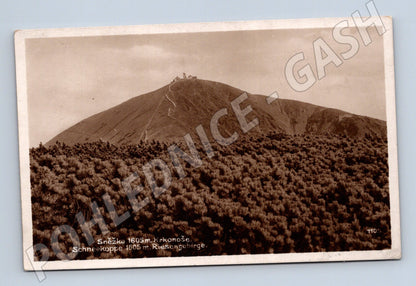 Pohlednice Sněžka Krkonoše 1930 (M30947)