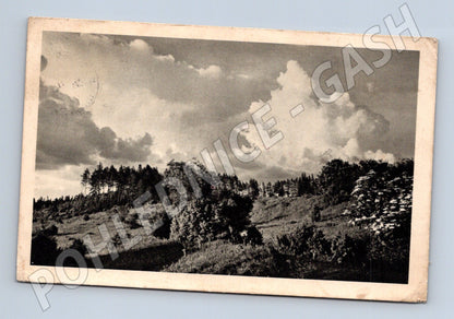 Pohlednice krajina zalesněný kopec (M30953)