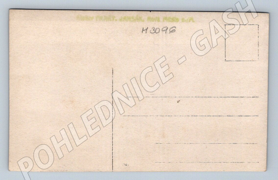 Postcard woman in traditional folk costume (M3096)