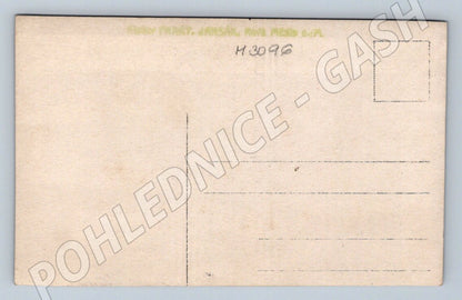 Postcard woman in traditional folk costume (M3096)