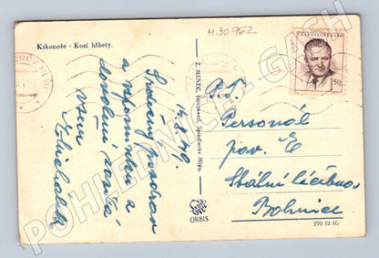 Pohlednice Krkonoše Kozí hřbety 1949 (M30962)