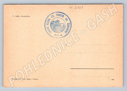 Postcard Lacemaker V Small folk costume (M3101)