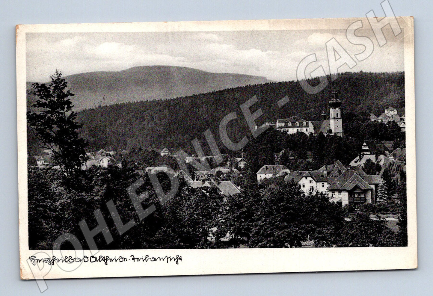 Pohlednice Německo Jungferngrün Dorfmitte 1918 (M31053)
