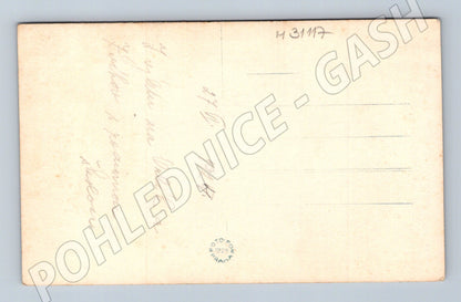 Pohlednice Orlík hrad 1928 (M31117)