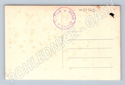 Pohlednice Žebrák a Točník hrady (M31120)