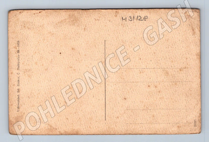 Pohlednice Jindřichův Hradec zámek studna 1919 (M31128)