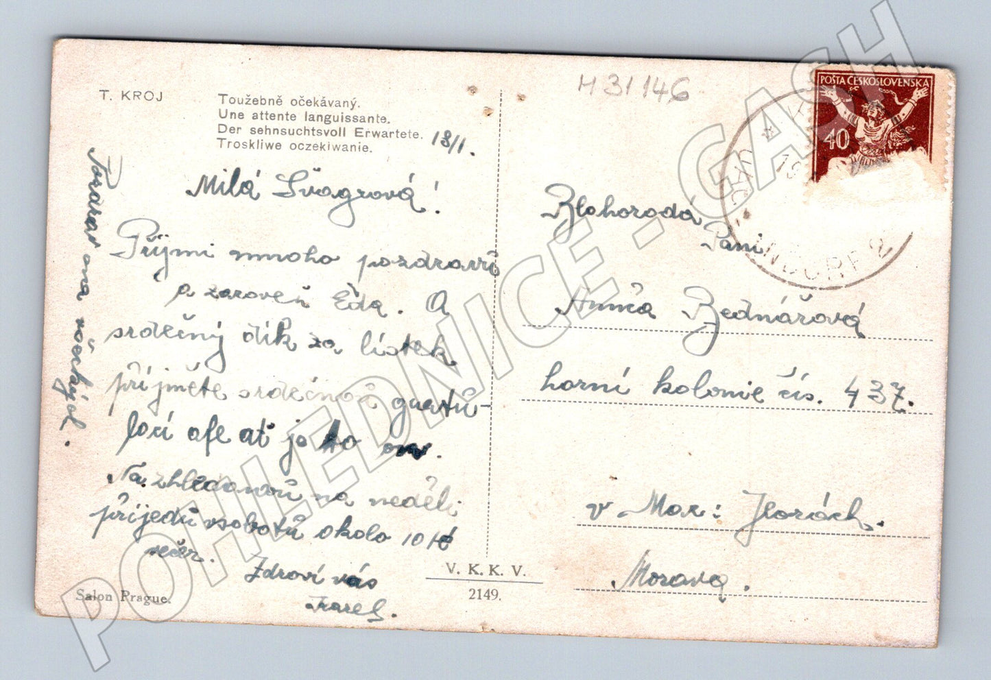Pohlednice žena se psem u vody 1919 (M31146)