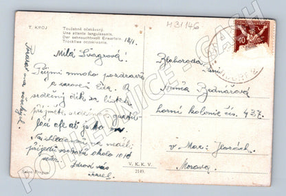 Pohlednice žena se psem u vody 1919 (M31146)