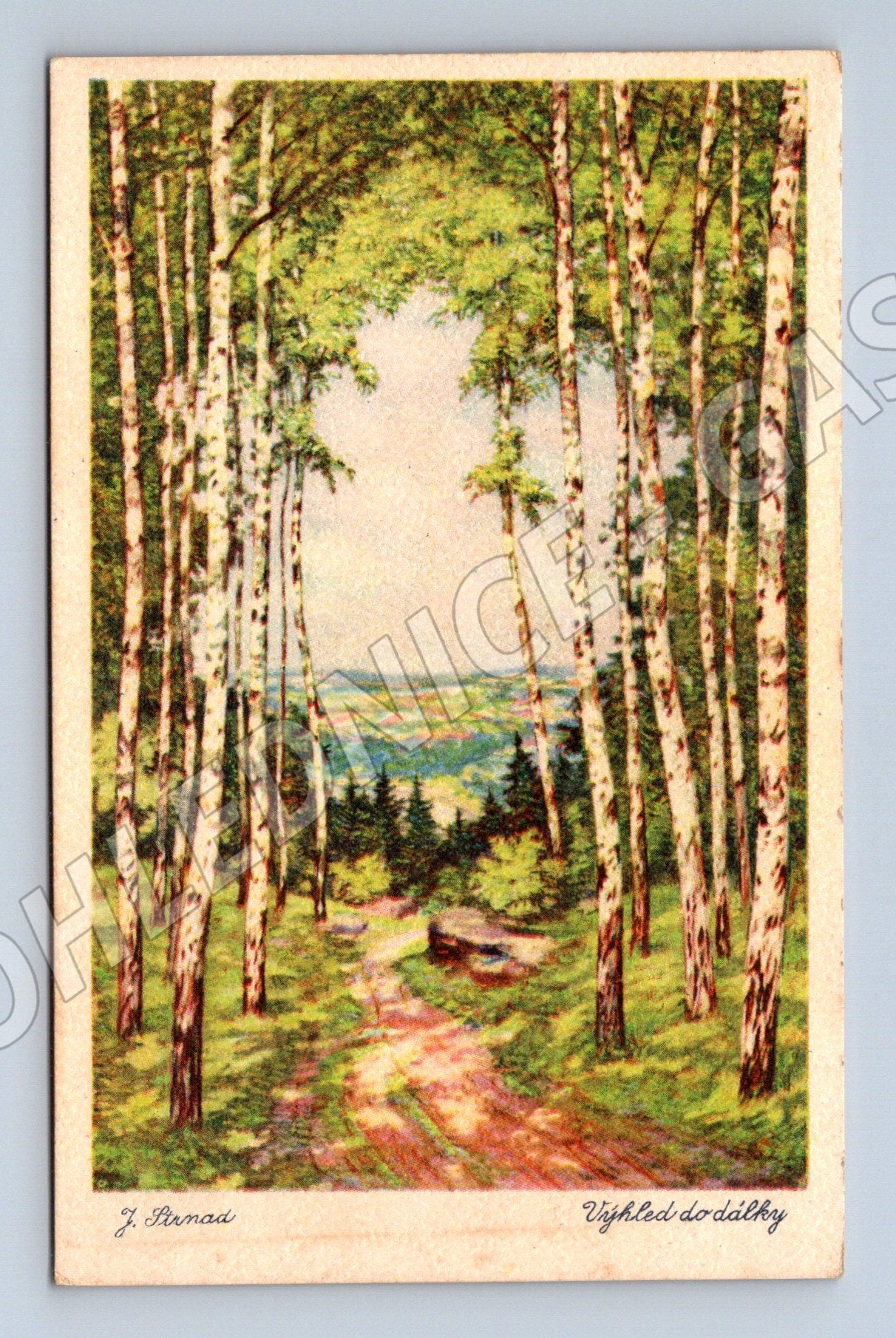 Pohlednice Výhled do dálky březový les J. Porman (M31169)