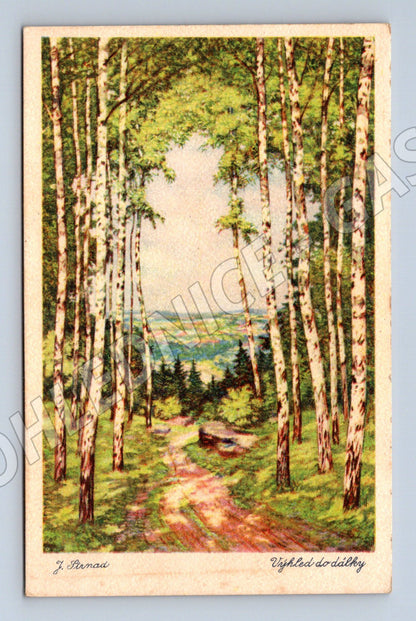 Pohlednice Výhled do dálky březový les J. Porman (M31169)