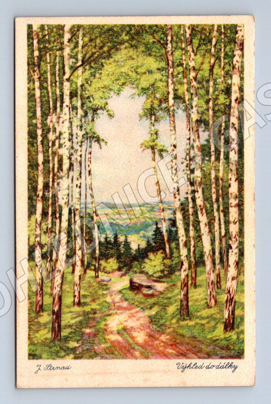 Pohlednice Výhled do dálky březový les J. Porman (M31169)