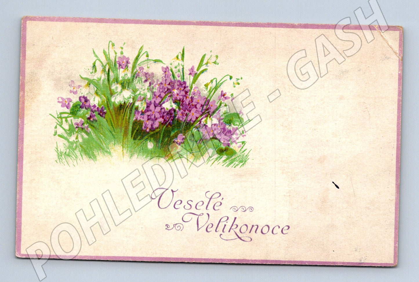 Pohlednice Velikonoce květiny (M31224)
