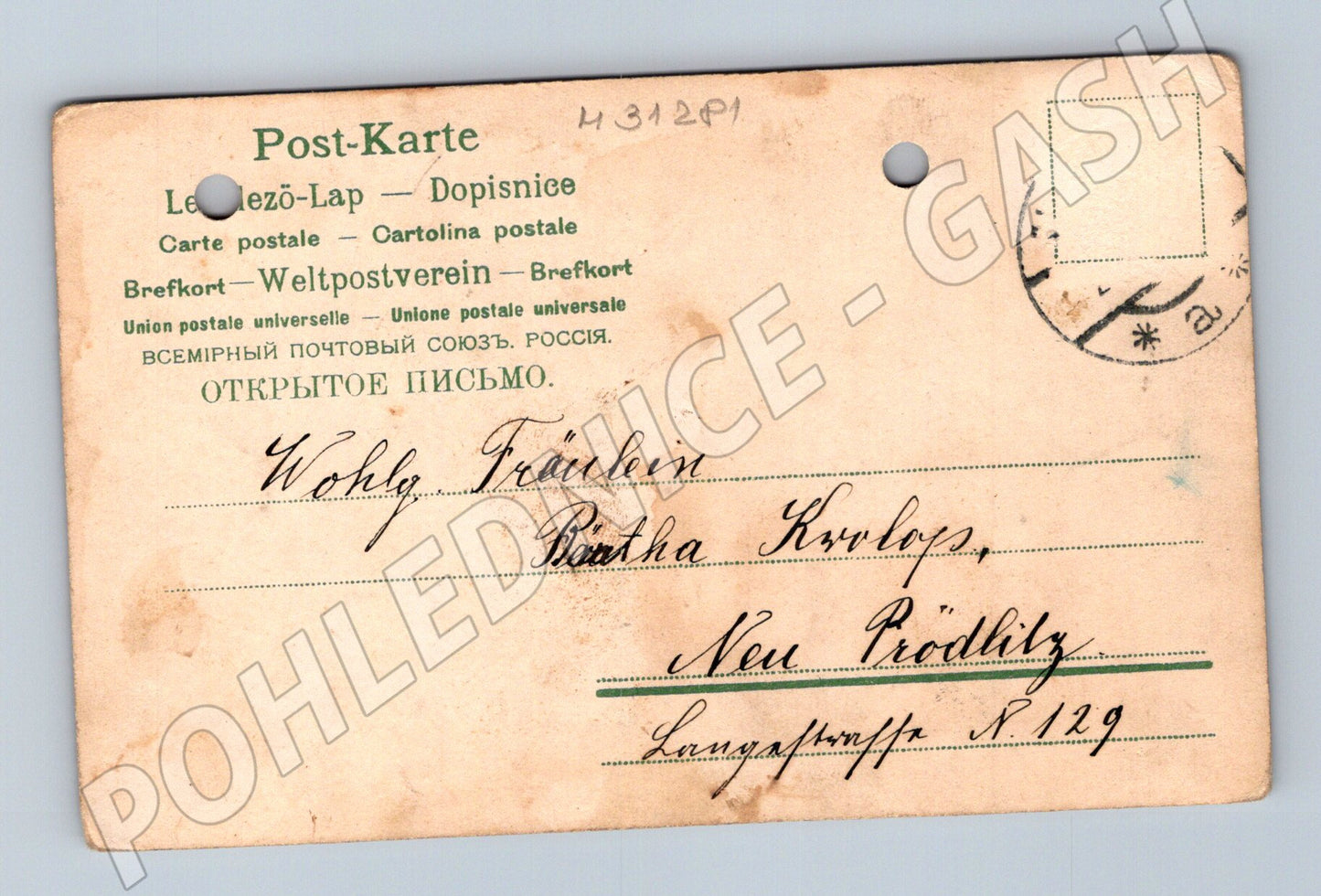 Pohlednice fialky přání Neu Prödlitz (M31281)