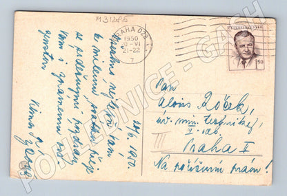 Pohlednice Květiny orchideje 1950 (M31285)