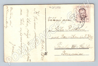Pohlednice Srdečné blahopřání kytice sedmikrásek 1948 (M31286)