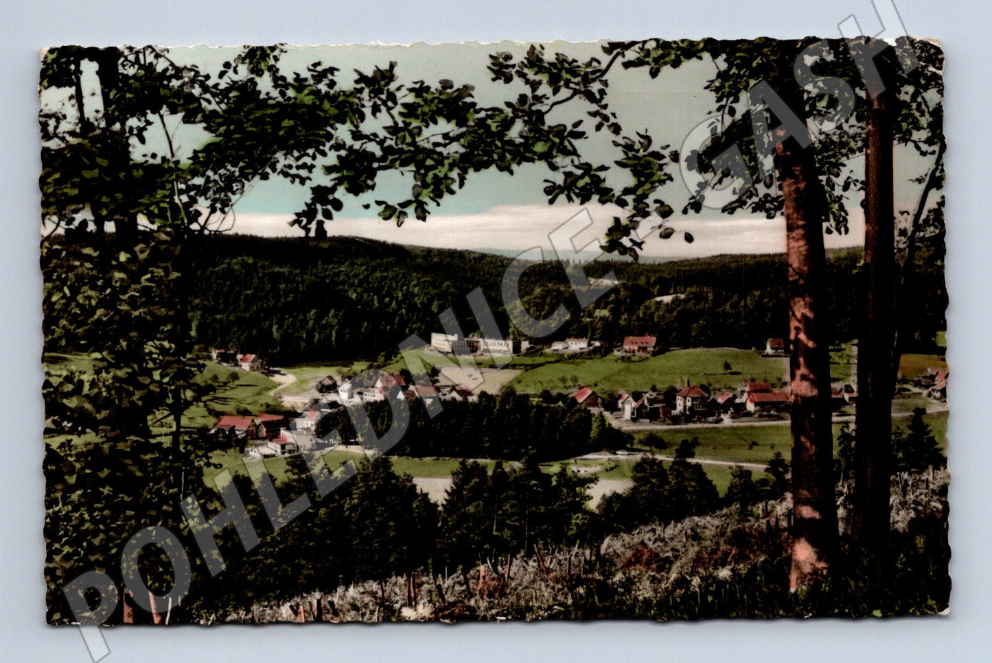 Pohlednice Německo Gras-Ellenbach horská vesnice (M31331)