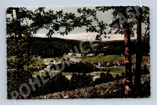 Pohlednice Německo Gras-Ellenbach horská vesnice (M31331)